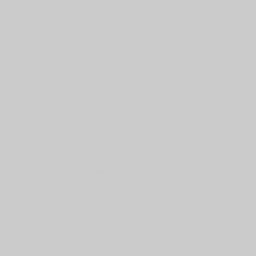 Light Gray SM